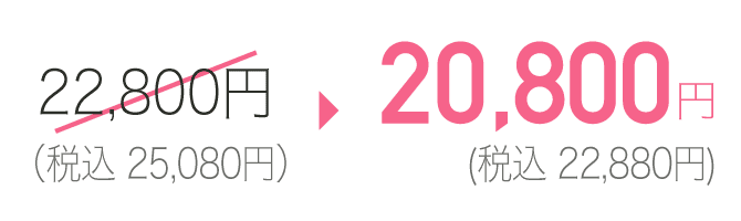 20,800円（税込22,880円）