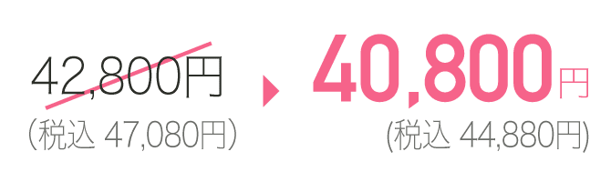 40,800円(税込44,880円)