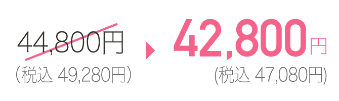 42,800円(税込47,080円)