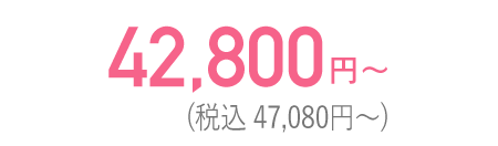 42,800円(税込47,080円)