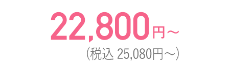 22,800円(税込25,080円)